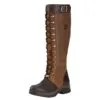 Ariat Berwick GTX Insulated Boot
