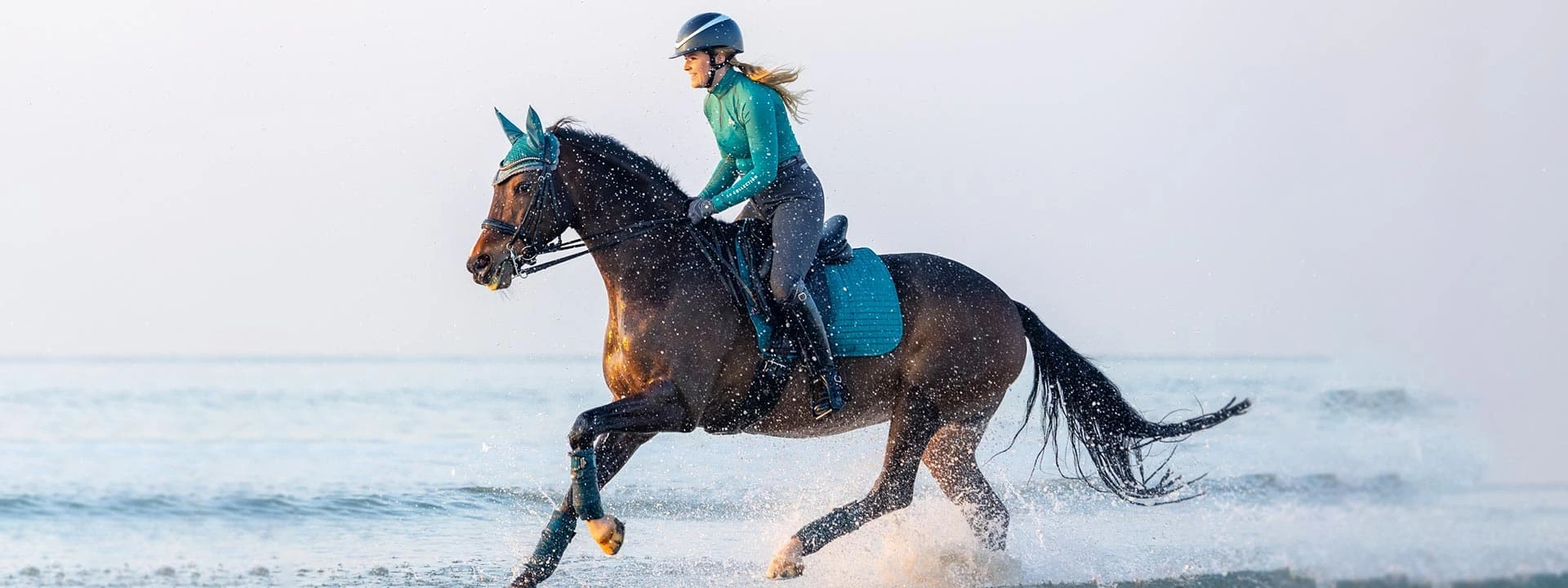 Front Page -Smartpak Equine Shop 522