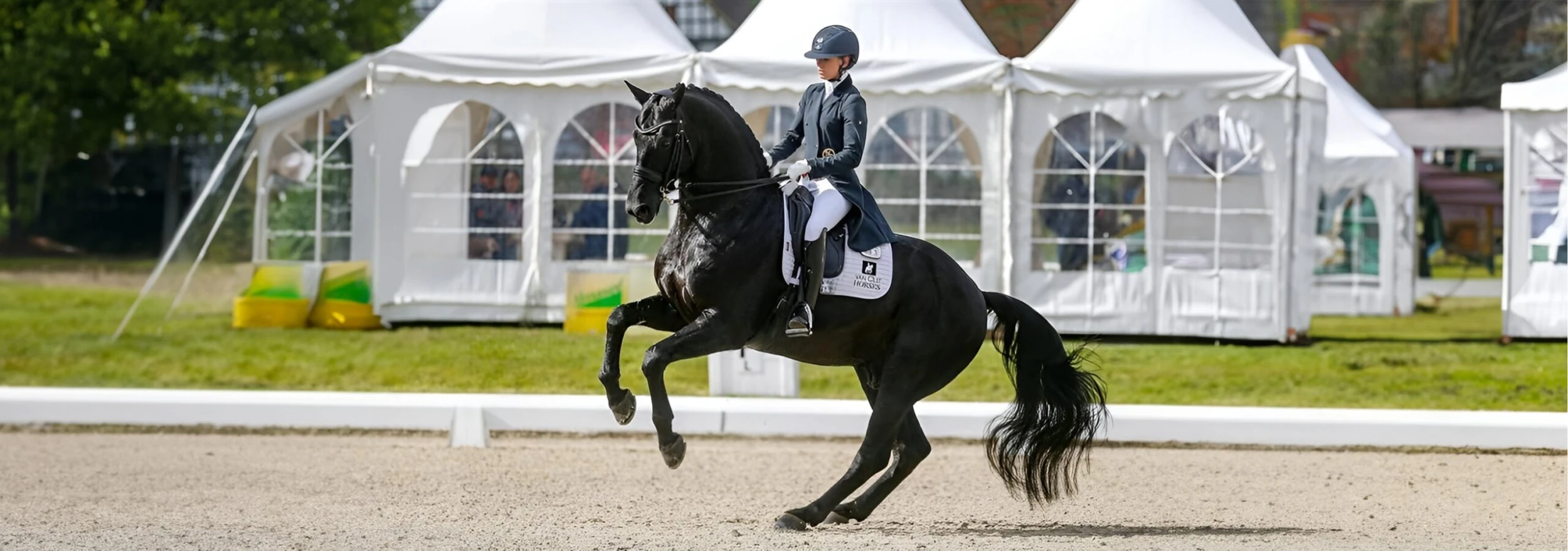 Front Page -Smartpak Equine Shop 6535 scaled