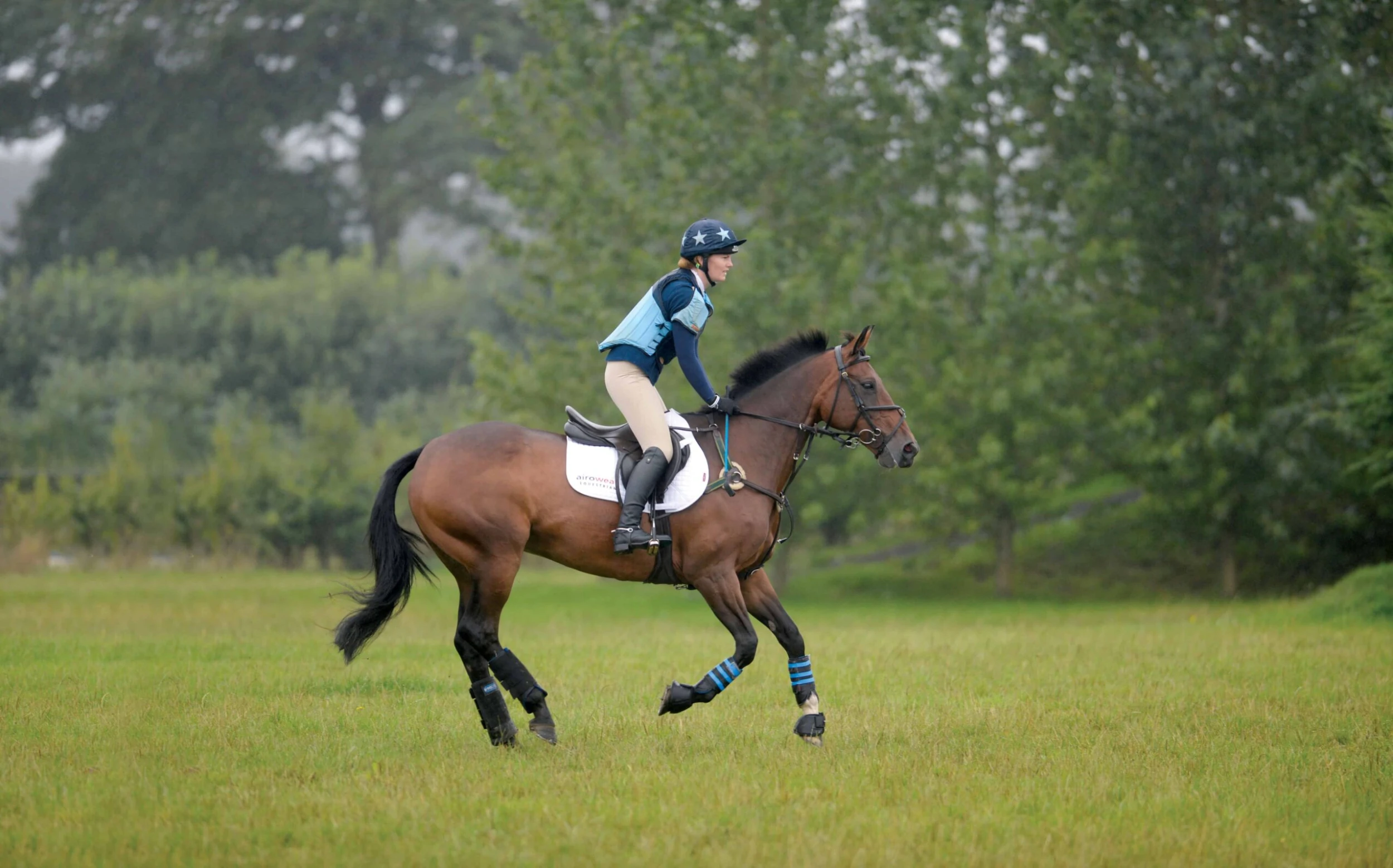 Front Page -Smartpak Equine Shop 7878 scaled